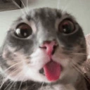MaybeGlorp emote