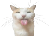 BLEHHHHH emote