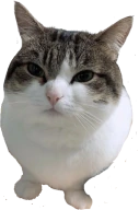 spring emote