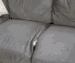 catarrive emote