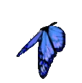 ButterFly emote