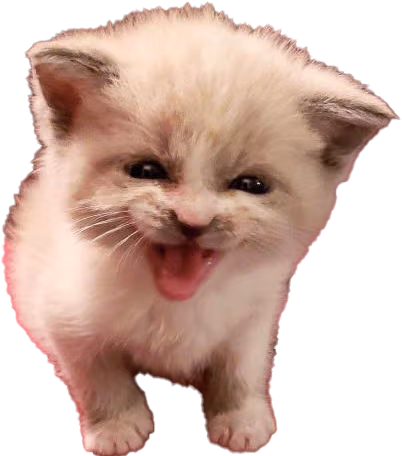 Cat_Hiss emote