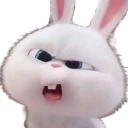 wtf emote
