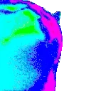 catRave emote
