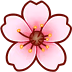 CherryBlossom emote