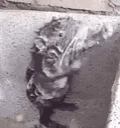 shoreline emote