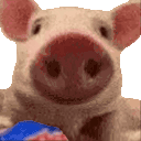 veryPig animated emote