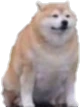 doggee emote