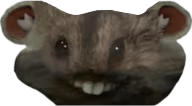 xppchomik emote