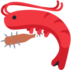 NailbatShrimp emote