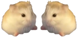 SitsWithU emote