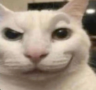 sexy static emote