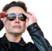 elonsunglasses emote