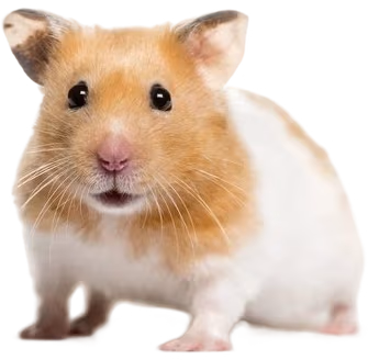 Fluffle emote