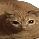 Lasagn emote