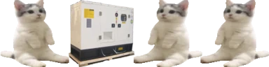 catsittingverycomfortablearounda75kwdieselgeneratorwithitsfriend emoji