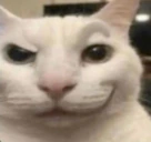 sexy emote