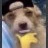 DogLipBite emote