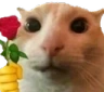 catrose emoji