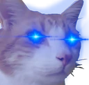 CatCuteEyesBlue emote