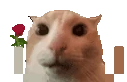 catroseL emote