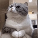waiting emote