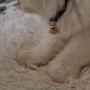 Baking emote