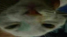ppxun emote