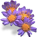 flowers_purple emote