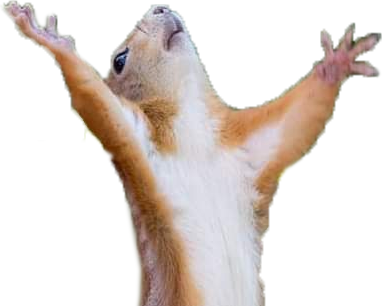 dramaticSquirrel static emote
