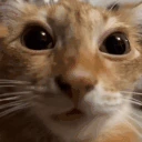 euh emote