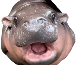 MOODENG emote