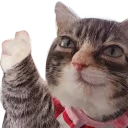 hesAlrightYouKnow emote