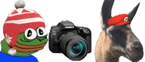 PerugeTakingPhotoALama emote