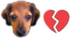 idiot emote