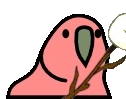 marshmallowParrot emote