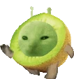 kiwiGlorpRun emote