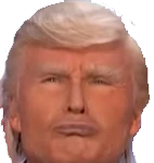 Fake_Trump emote