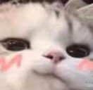 3 emote