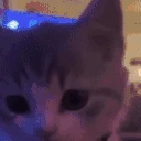 wink emote