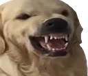 Warface emote