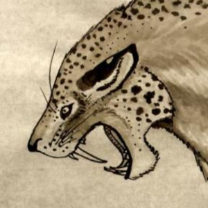 nimravid avatar