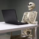 WaitingForStream emoji