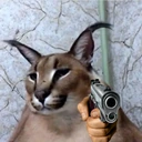 floppa_gun emoji