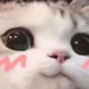 memedaddy avatar