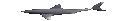 swimming_shark emote