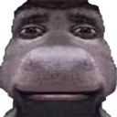 donkEy emote