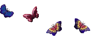 Butterfly animated emote
