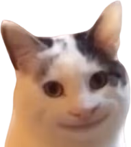 HappyCat emote