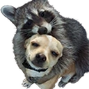 huggies emote